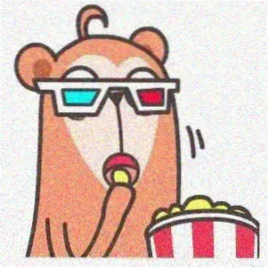 用户一只猫的头像